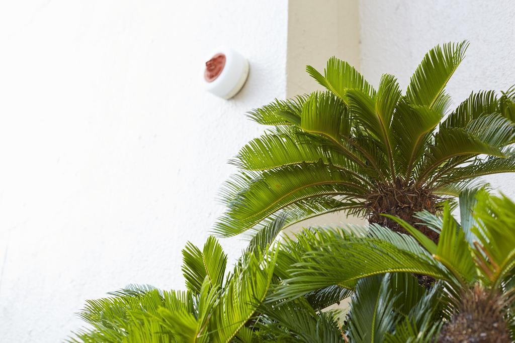 Okinawa Sun Plaza Hotel Naha Exterior photo